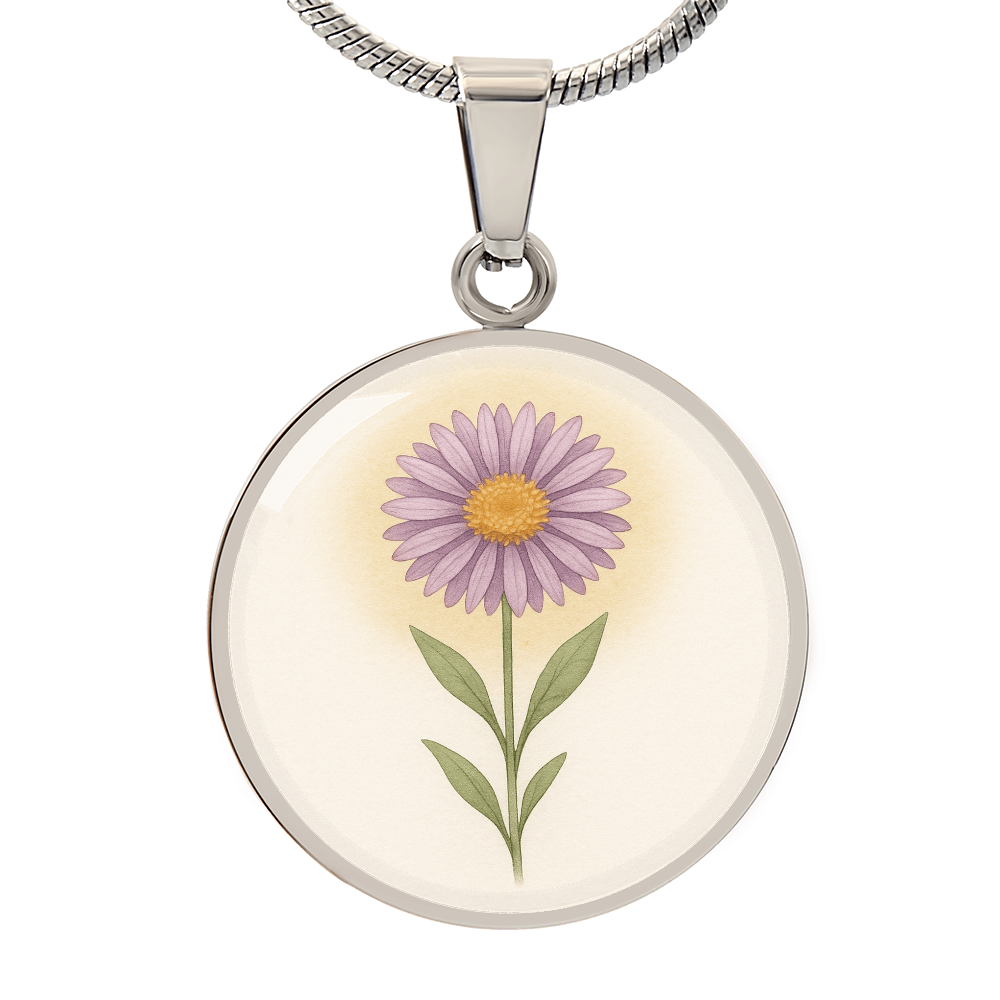 September Aster